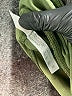 Ebb & Flow Solid Green Active Pants Size M - photo 8