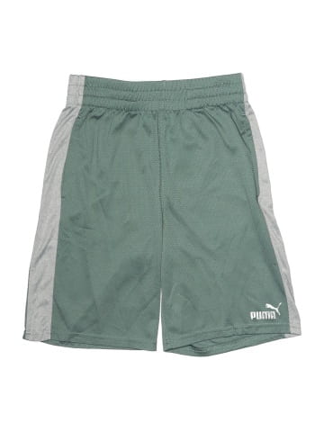 Puma Athletic Shorts (view 1)
