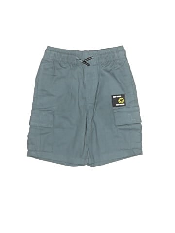 Public Record Cargo Shorts (view 1)