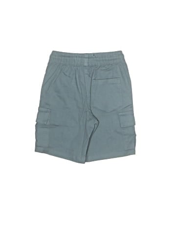 Public Record Cargo Shorts (view 2)