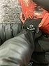 Pamela McCoy Paisley Gold Jacket Size 3X - photo 7