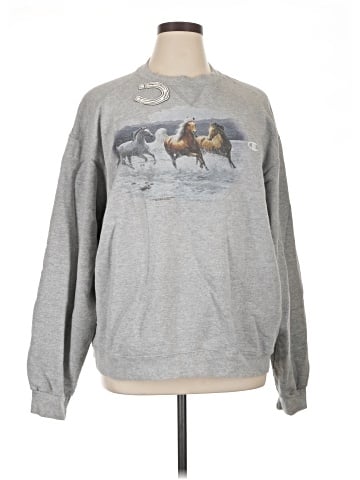 Champion Sweatshirt (view 1)