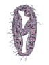 Express 100% Polyester Floral Purple Scarf One size - photo 1