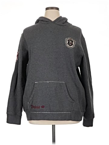 Disneyland Resort Pullover Hoodie (view 1)