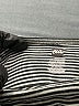 Tea 100% Cotton Gray Dress Size 0-3 mo - photo 3