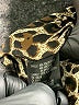 Tahari by ASL Black Blazer Size 10 - photo 7