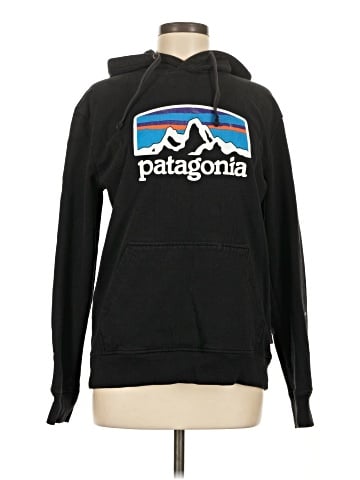 Patagonia Pullover Hoodie (view 1)