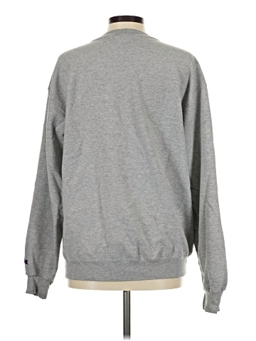 Champion Sweatshirt (view 2)