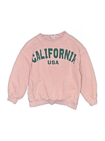 Zara Sweatshirt (view 1)