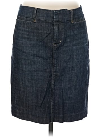 Limited Edition Denim Skirt (view 1)