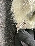TOBI Ivory Pullover Sweater Size XS - photo 8