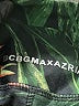 BCBGMAXAZRIA Tropical Green Leggings Size S - photo 8