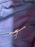Nike Blue Active Pants Size M - photo 8