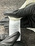 Talbots 100% Polyester Ivory Long Sleeve Blouse Size M - photo 8