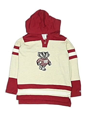 Champion Pullover Sweater (view 1)