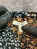Maurices 100% Polyester Animal Print Brown Short Sleeve Blouse Size XXL - photo 7