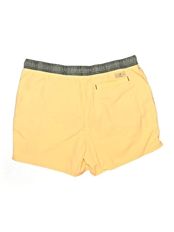 Cedarwood State Board Shorts (view 2)