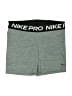 Nike Green Athletic Shorts Size XL - photo 1