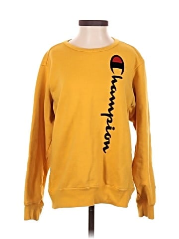 Champion Sweatshirt (view 1)