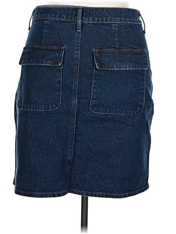 Express Denim Skirt (view 2)