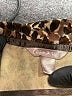 White Stag Animal Print Brown Pullover Sweater Size M - photo 7