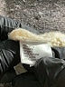 Antonio Melani Ivory Turtleneck Sweater Size M - photo 8