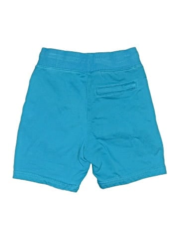 Psycho Bunny Shorts (view 2)