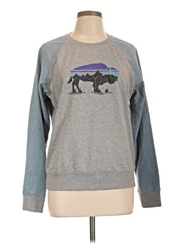 Patagonia Sweatshirt (view 1)
