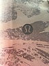 Lululemon Athletica Graphic Silver Active Pants Size 6 - photo 7