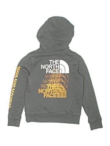 The North Face Pullover Hoodie (view 2)