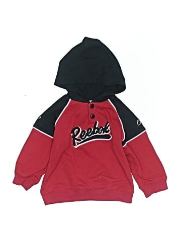 Reebok Pullover Hoodie (view 1)