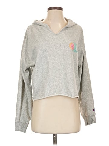 Champion Sweatshirt (view 1)