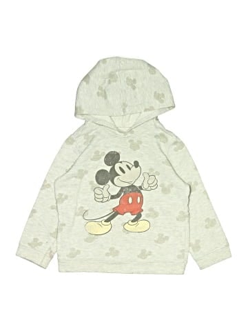Disney Pullover Hoodie (view 1)