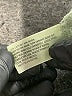 Cat & Jack Solid Green Cargo Pants Size 8 - photo 4