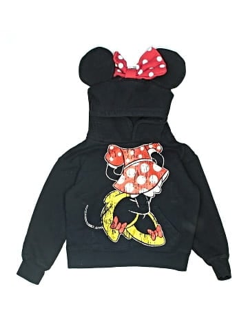Disneyland Resort Pullover Hoodie (view 1)