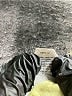 J.Crew Yellow Long Sleeve Button-Down Shirt Size 8 - photo 5
