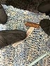Free People Tweed Blue Pullover Sweater Size S - photo 7