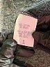 Joan Vass 100% Nylon Black Jacket Size 6 (1) - photo 7
