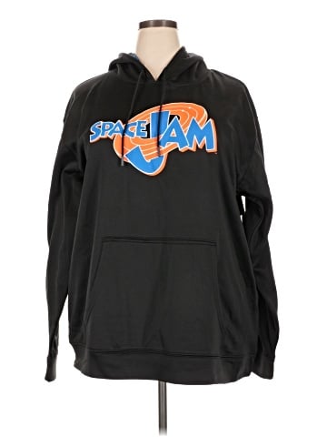 Champion Pullover Hoodie (view 1)