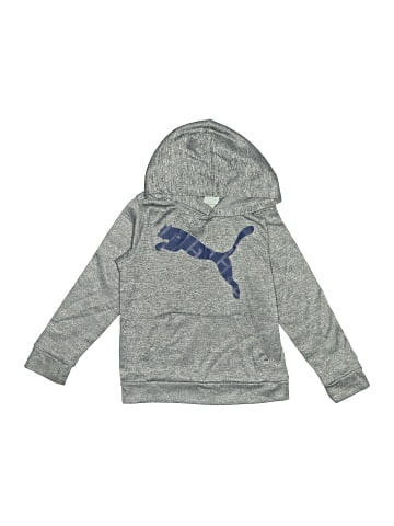 Puma Pullover Hoodie (view 1)