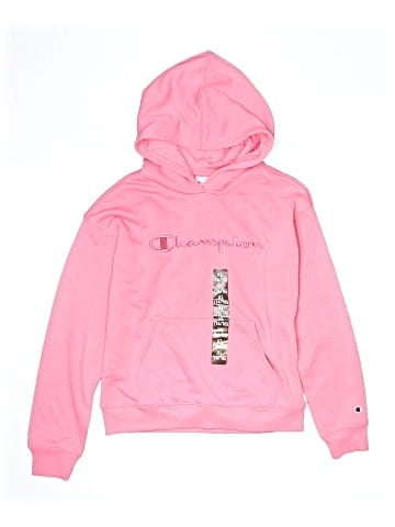 Champion Pullover Hoodie (view 1)
