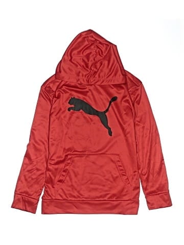 Puma Pullover Hoodie (view 1)