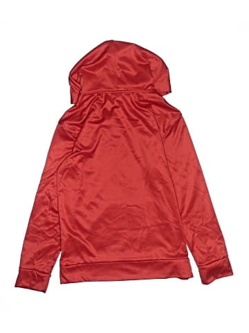 Puma Pullover Hoodie (view 2)