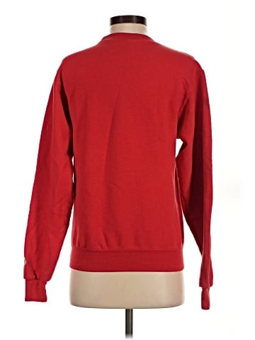 Champion Sweatshirt (view 2)