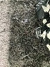 Carlisle Houndstooth Black Blazer Size 10 - photo 8