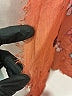 Loewe Orange Scarf One size - photo 10