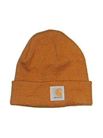 Carhartt Beanie (view 1)