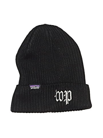 Patagonia Beanie (view 1)