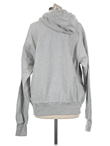 Champion Pullover Hoodie (view 2)