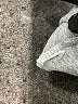 Lucky Brand Paisley Gray Sweatshirt Size S - photo 8